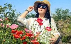 中央五套在线直播